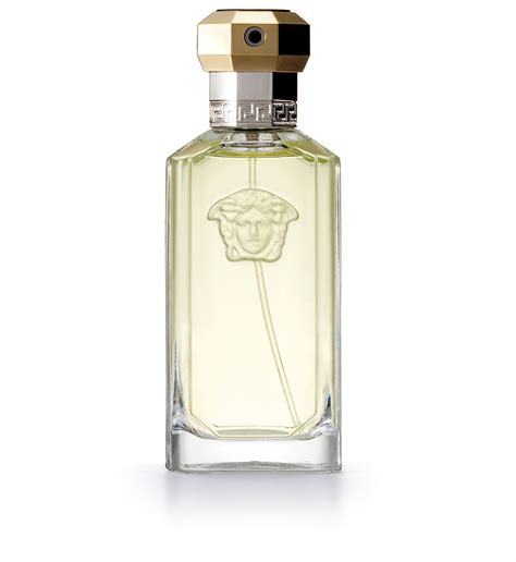 the dreamer versace smell|Versace the dreamer 50ml price.